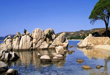 关于18年NBA选秀前5重排：东契奇仅第2，榜首无悬念的信息