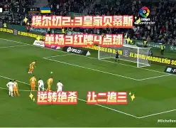 若尔兰客场逆转奥地利，出线仍存一线希望
